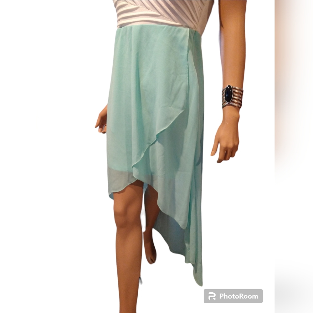 Windsor Strapless Banded Back Dress - Picture 9 of 14